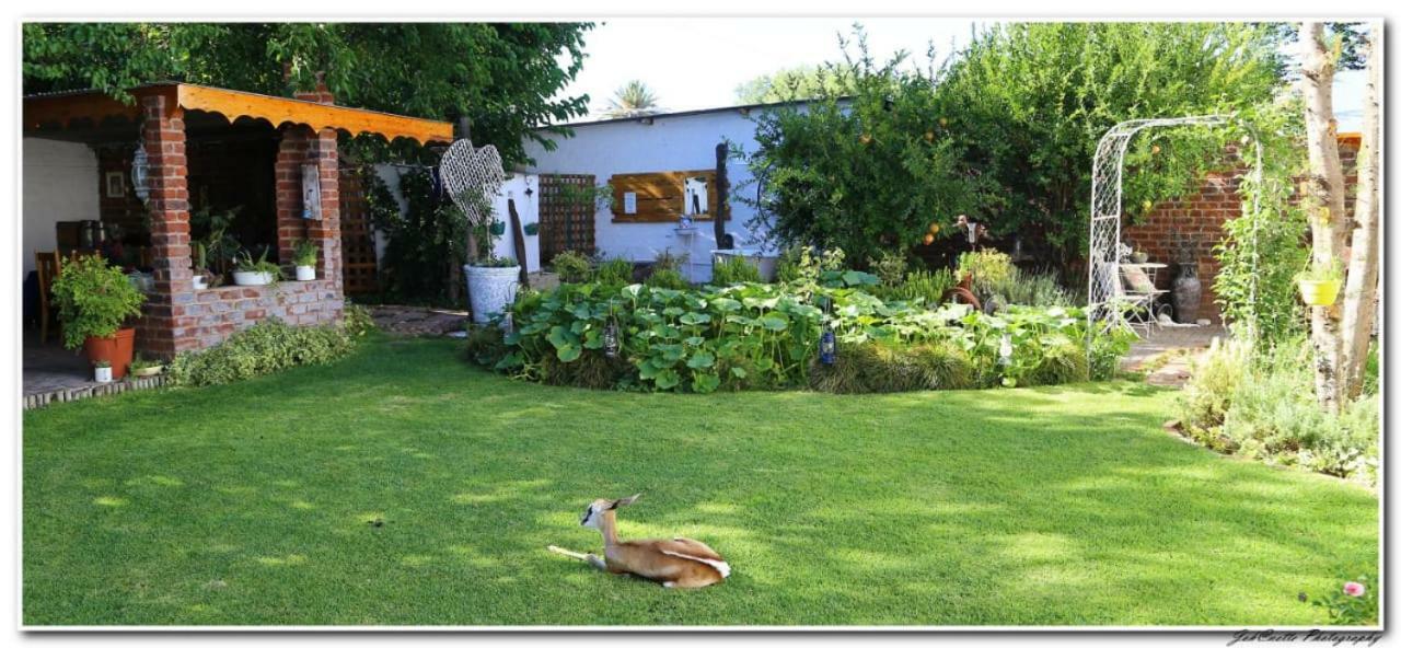 Tortelduif Cottage Offthegrid Middelburg  Exterior photo