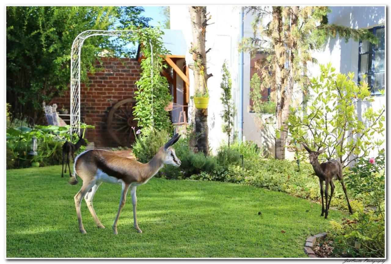 Tortelduif Cottage Offthegrid Middelburg  Exterior photo